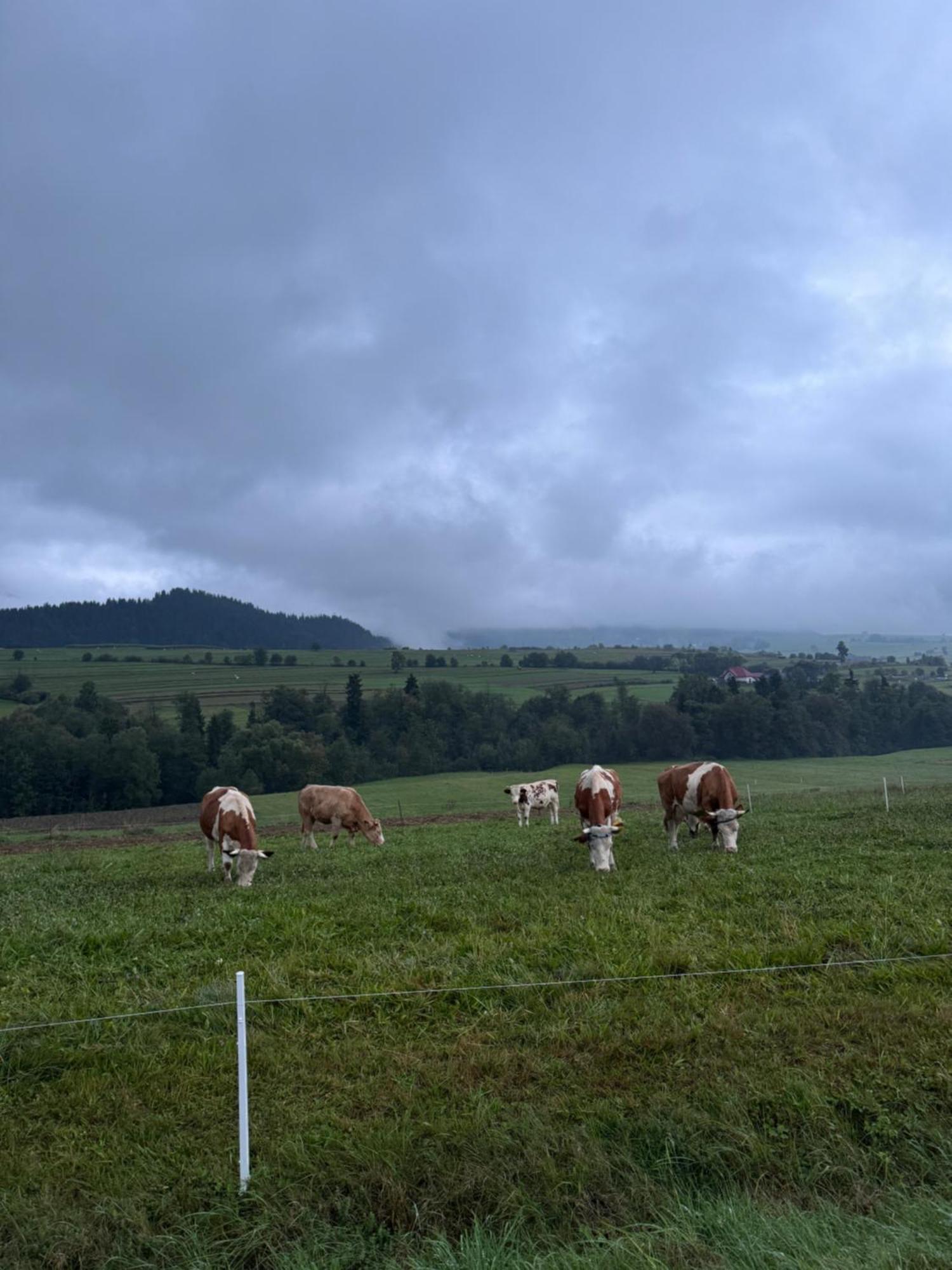 Apartamenty Agroturystyczne Papiernia Niedzwiedz Luaran gambar